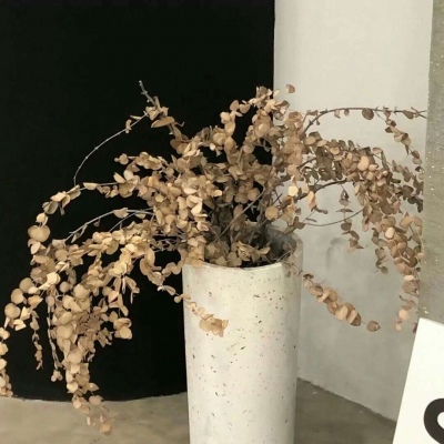 兽设质感表现技巧兽圈群